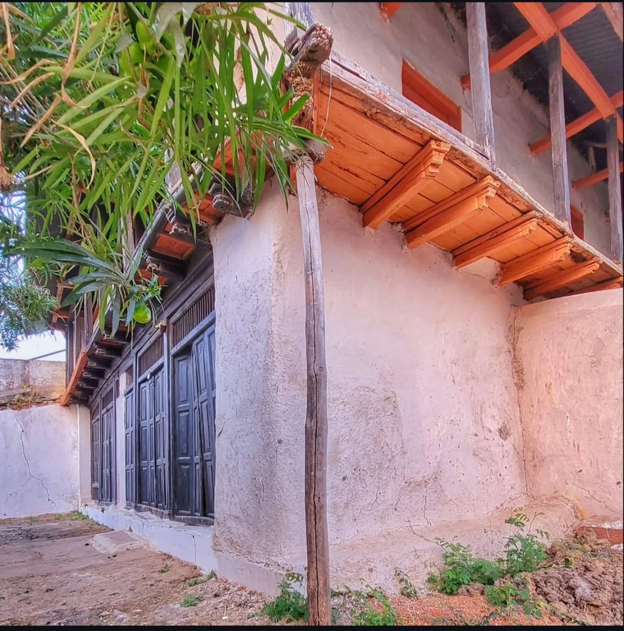 OSHO Birth House