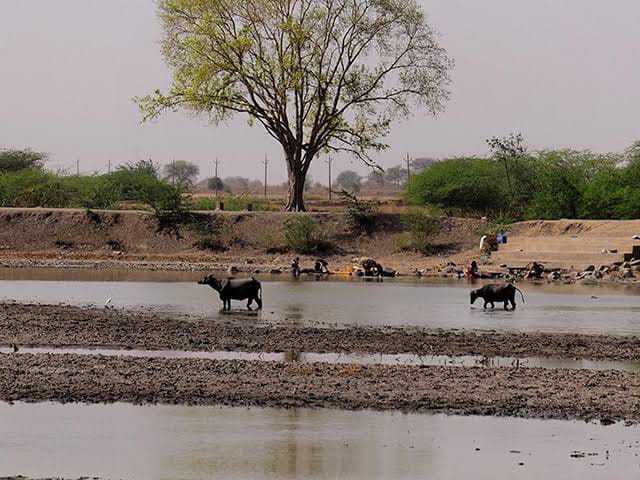 Village Tour