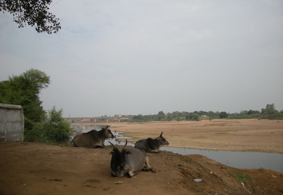 Village Tour
